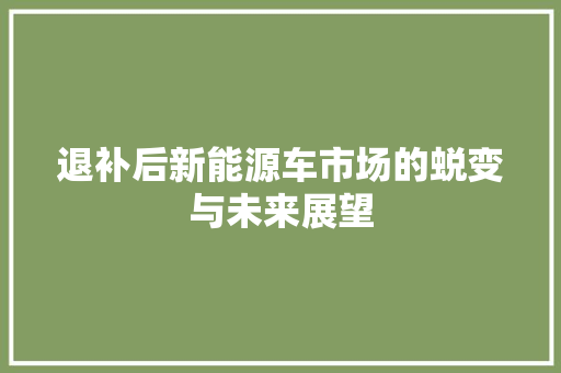 退补后新能源车市场的蜕变与未来展望 汽车保养