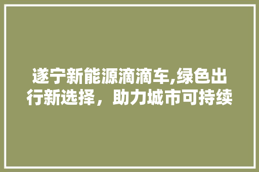 遂宁新能源滴滴车,绿色出行新选择，助力城市可持续发展