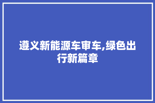 遵义新能源车审车,绿色出行新篇章