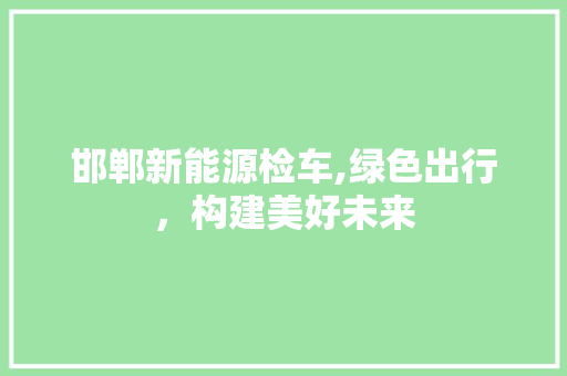 邯郸新能源检车,绿色出行，构建美好未来
