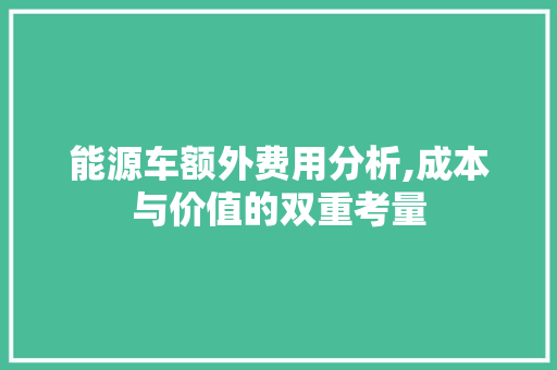 能源车额外费用分析,成本与价值的双重考量
