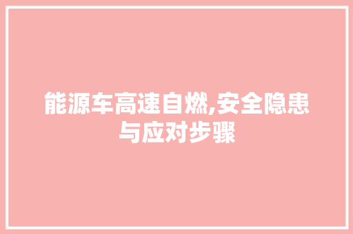 能源车高速自燃,安全隐患与应对步骤