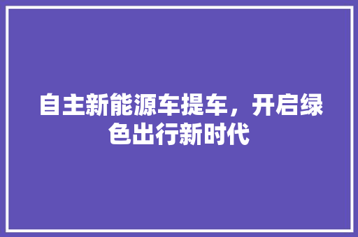 自主新能源车提车，开启绿色出行新时代