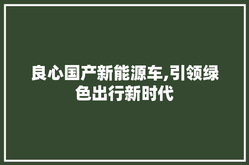 良心国产新能源车,引领绿色出行新时代