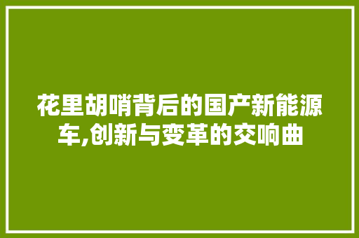 花里胡哨背后的国产新能源车,创新与变革的交响曲