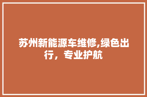 苏州新能源车维修,绿色出行，专业护航