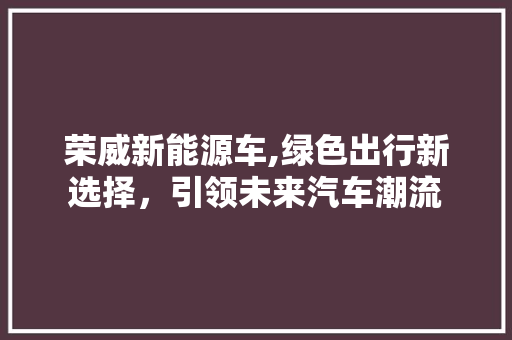 荣威新能源车,绿色出行新选择，引领未来汽车潮流