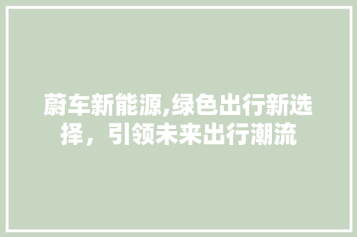 蔚车新能源,绿色出行新选择，引领未来出行潮流