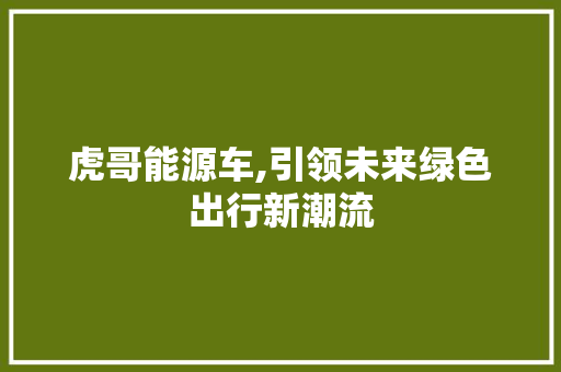 虎哥能源车,引领未来绿色出行新潮流