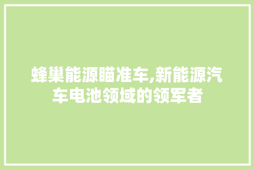 蜂巢能源瞄准车,新能源汽车电池领域的领军者
