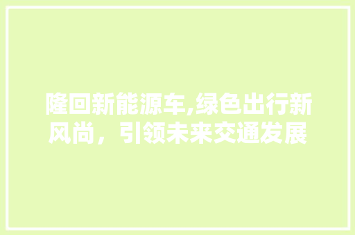 隆回新能源车,绿色出行新风尚，引领未来交通发展