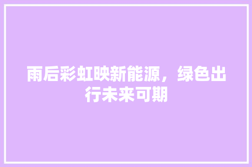 雨后彩虹映新能源，绿色出行未来可期