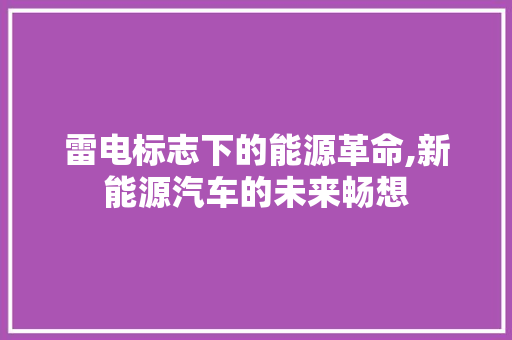 雷电标志下的能源革命,新能源汽车的未来畅想 智能驾驶