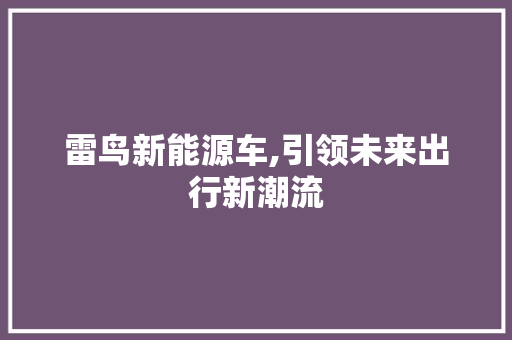 雷鸟新能源车,引领未来出行新潮流