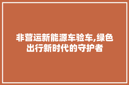 非营运新能源车验车,绿色出行新时代的守护者