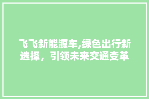 飞飞新能源车,绿色出行新选择，引领未来交通变革