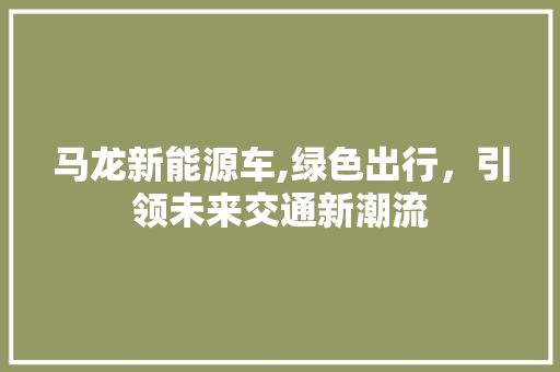 马龙新能源车,绿色出行，引领未来交通新潮流