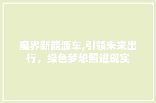 魔界新能源车,引领未来出行，绿色梦想照进现实