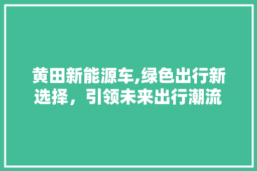 黄田新能源车,绿色出行新选择，引领未来出行潮流 车联网技术