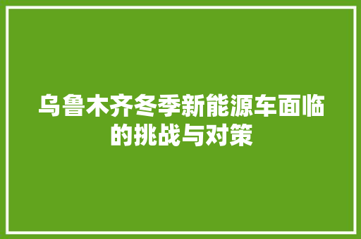 乌鲁木齐冬季新能源车面临的挑战与对策 新能源汽车