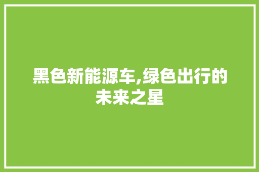 黑色新能源车,绿色出行的未来之星