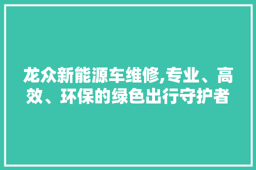 龙众新能源车维修,专业、高效、环保的绿色出行守护者