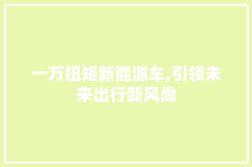 一万扭矩新能源车,引领未来出行新风尚 汽车保养