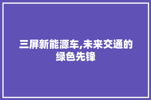 三屏新能源车,未来交通的绿色先锋