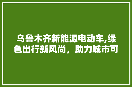 乌鲁木齐新能源电动车,绿色出行新风尚，助力城市可持续发展