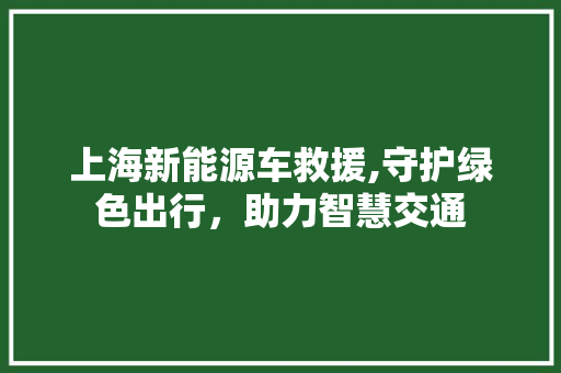 上海新能源车救援,守护绿色出行，助力智慧交通