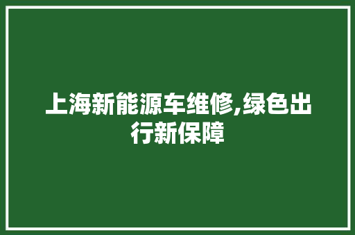 上海新能源车维修,绿色出行新保障