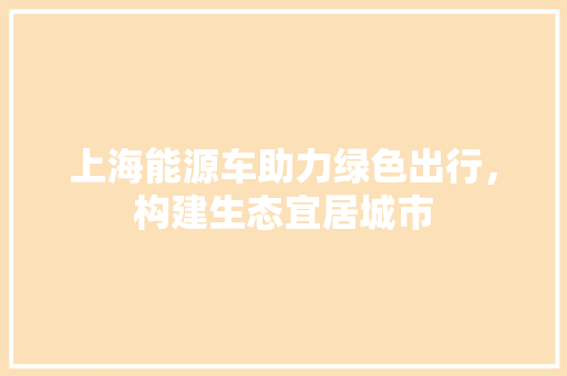 上海能源车助力绿色出行，构建生态宜居城市 汽车轮胎