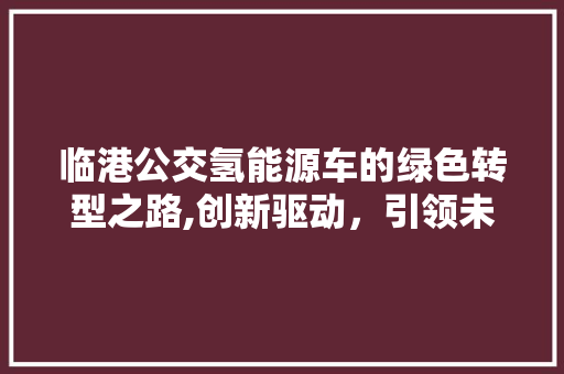 临港公交氢能源车的绿色转型之路,创新驱动，引领未来出行