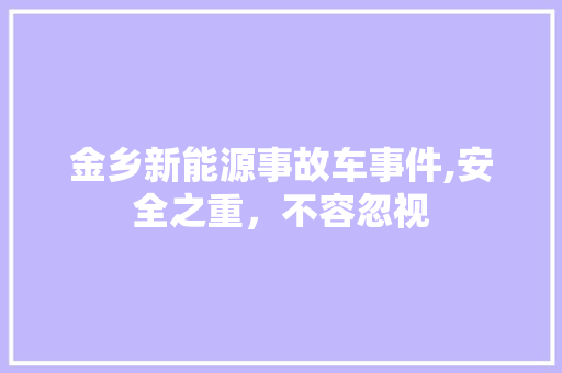 金乡新能源事故车事件,安全之重，不容忽视 汽车保养