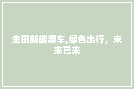 金田新能源车,绿色出行，未来已来