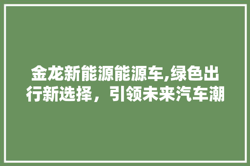 金龙新能源能源车,绿色出行新选择，引领未来汽车潮流