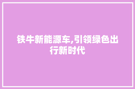 铁牛新能源车,引领绿色出行新时代