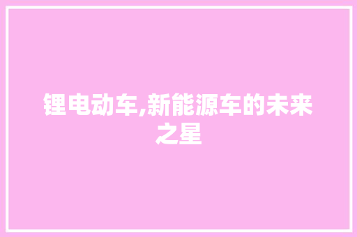 锂电动车,新能源车的未来之星