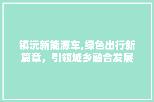 镇沅新能源车,绿色出行新篇章，引领城乡融合发展 汽车轮胎