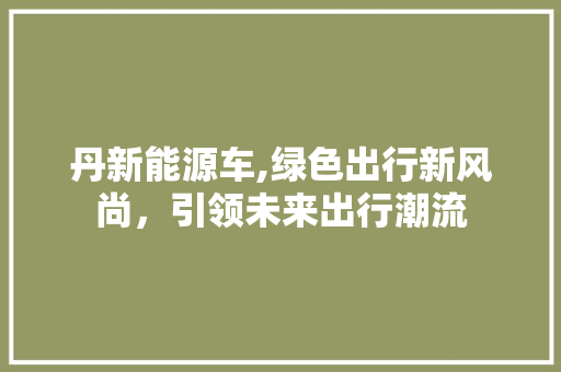 丹新能源车,绿色出行新风尚，引领未来出行潮流 车载导航