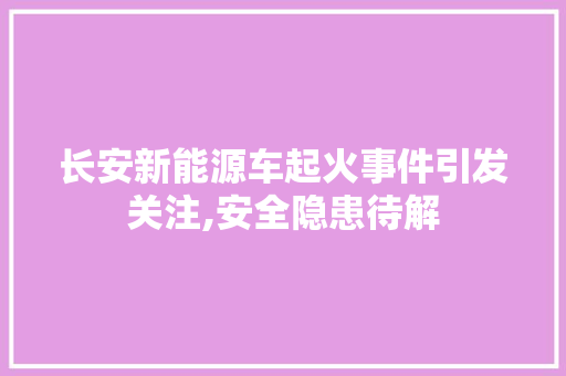 长安新能源车起火事件引发关注,安全隐患待解