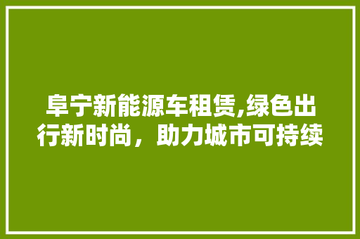阜宁新能源车租赁,绿色出行新时尚，助力城市可持续发展