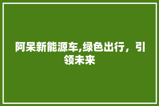 阿呆新能源车,绿色出行，引领未来