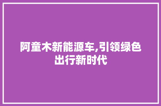 阿童木新能源车,引领绿色出行新时代