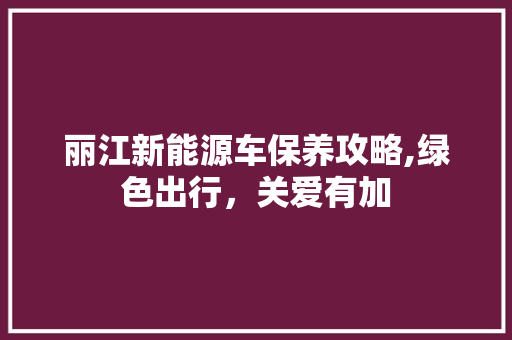丽江新能源车保养攻略,绿色出行，关爱有加