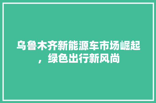 乌鲁木齐新能源车市场崛起，绿色出行新风尚