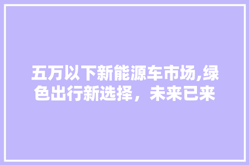 五万以下新能源车市场,绿色出行新选择，未来已来