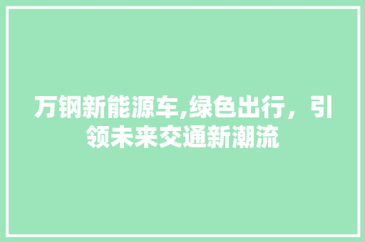 万钢新能源车,绿色出行，引领未来交通新潮流
