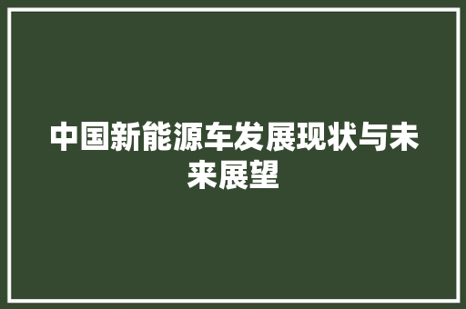 中国新能源车发展现状与未来展望