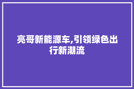 亮哥新能源车,引领绿色出行新潮流 汽车轮胎